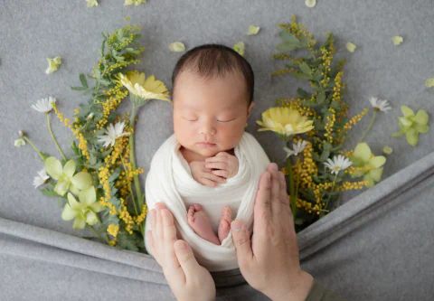 黄色と白の花に囲まれた新生児を両側から包むご家族の手
