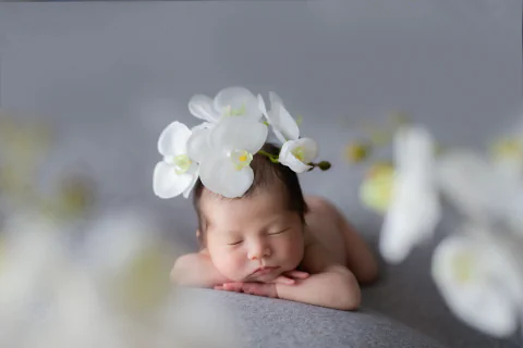 白い胡蝶蘭を背景に頬杖をついて眠る新生児