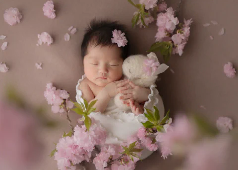 桜の枝と花びらに囲まれ白いうさぎを抱いて眠る新生児